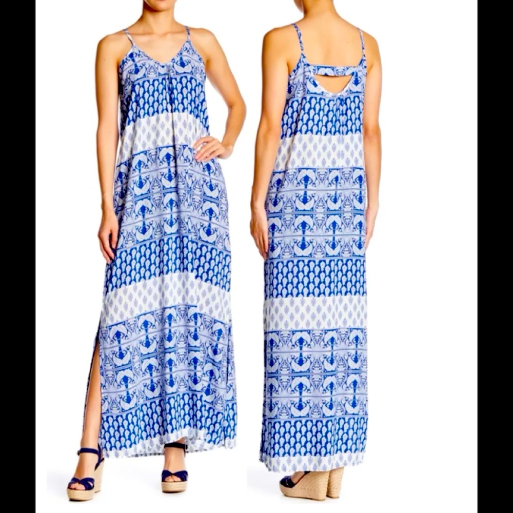 NWT Raindrops Paisley Maxi Dress